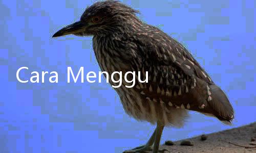 Cara Menggunakan Soda Api untuk Saluran Mampet, Jangan Sembarangan