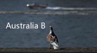 Australia Bikin Larangan, Ini Dampak jika Anak