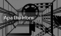 Apa Itu Homologasi?