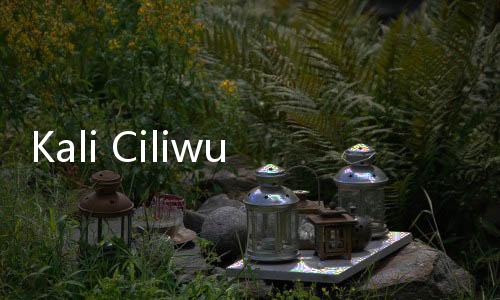 Kali Ciliwung Meluap, Permukiman Kebon Pala Banjir hingga 1,5 Meter