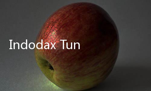 Indodax Tunjuk William Sutanto sebagai CEO Gantikan Oscar Darmawan