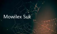 Mowilex Sukses Dapat Sertifikasi Perusahaan CarbonNeutral, Enam Kali Berturut