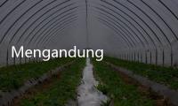 Mengandung Pewarna Kuning, Thailand Kubur 65 Ton Durian