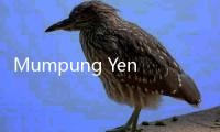 Mumpung Yen Anjlok, Ini Kota