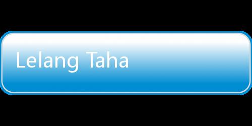 Lelang Tahap II WK Migas 2024: PT Huatong Menang di Air Komering